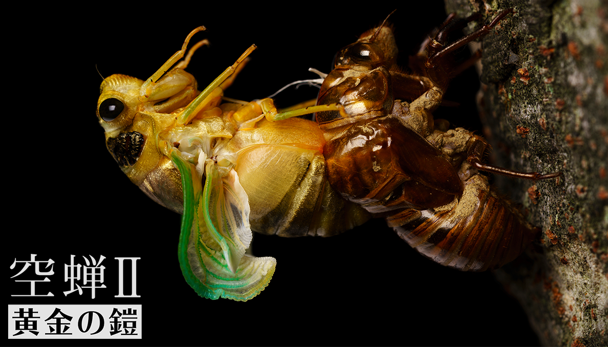 ジェットダイスケ写真展＆トークショーを銀座で開催！ 