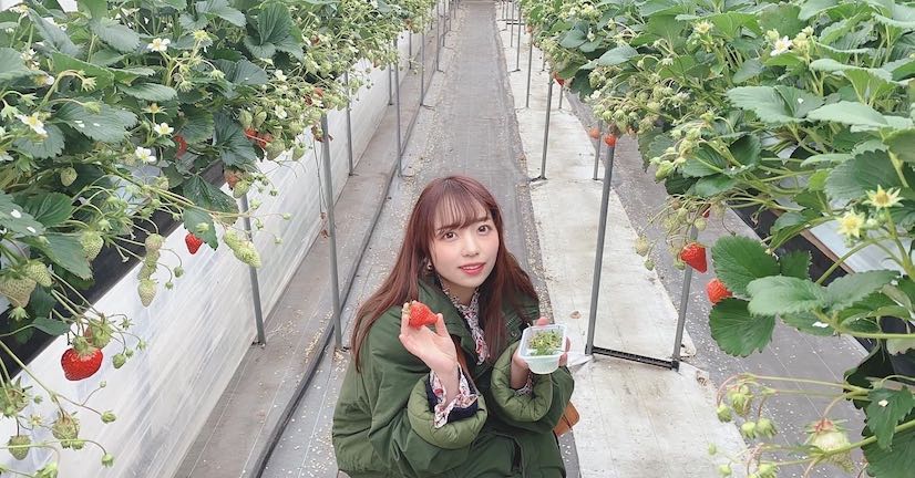 まみむめもちお