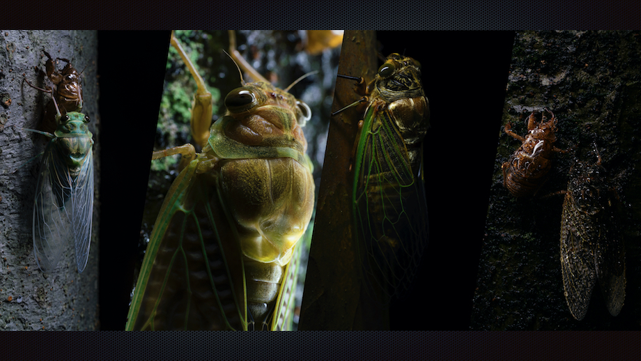 ジェットダイスケ写真展「空蝉〜前回までのあらすじ」を10月3日より開催 