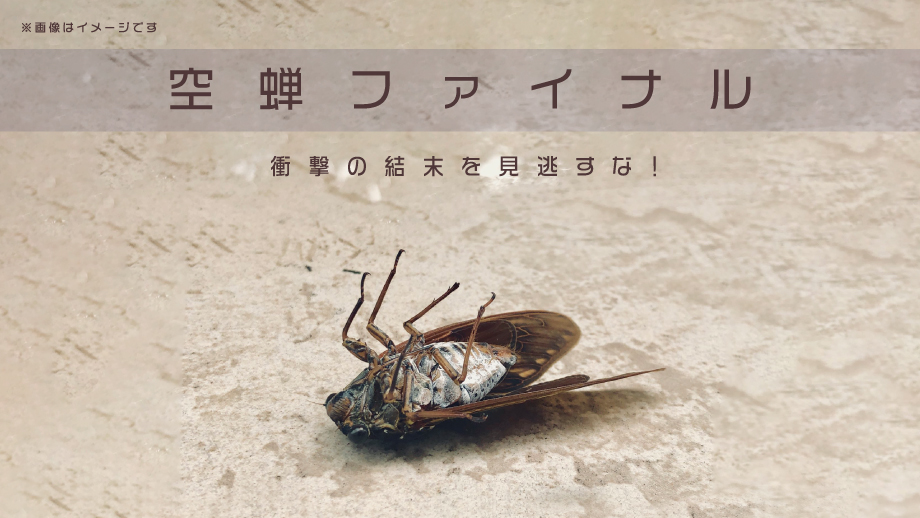 ジェットダイスケ写真展「空蝉ファイナル」を11月20日より開催