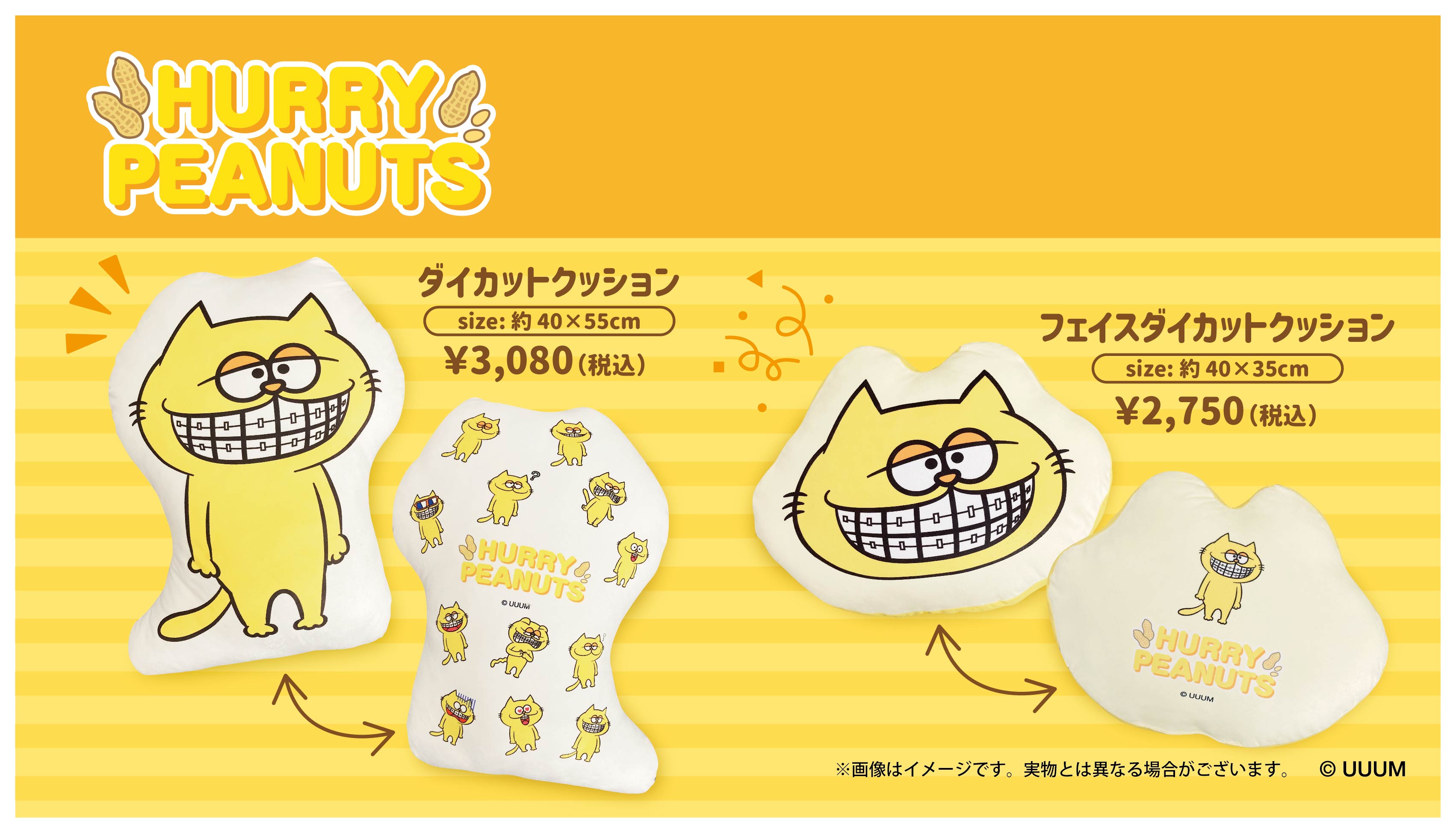 ハリーピーナッツのクッションが登場！！ 