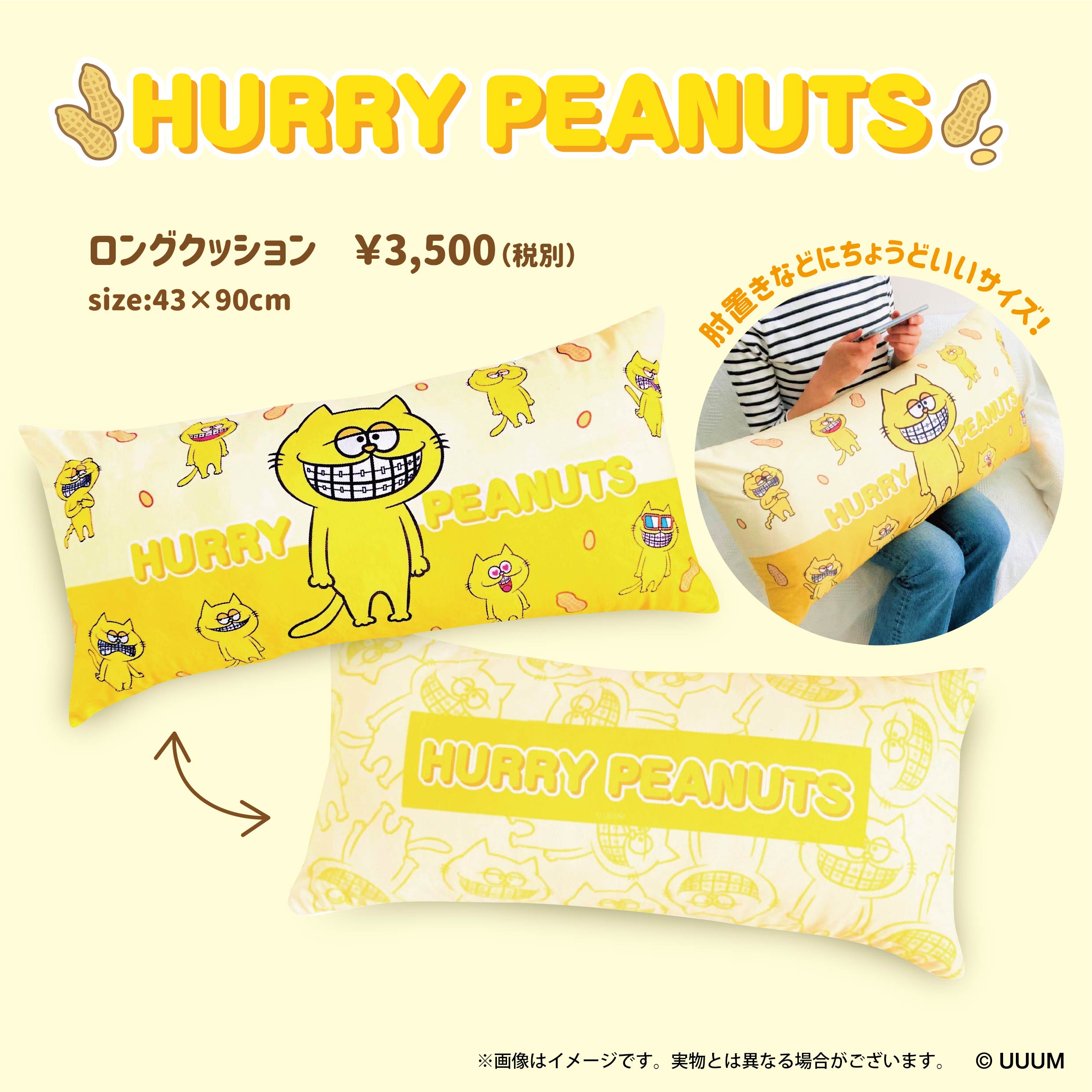 プリッとChannelプロデュースキャラクター、ハリーピーナッツのロングクッション発売！ 