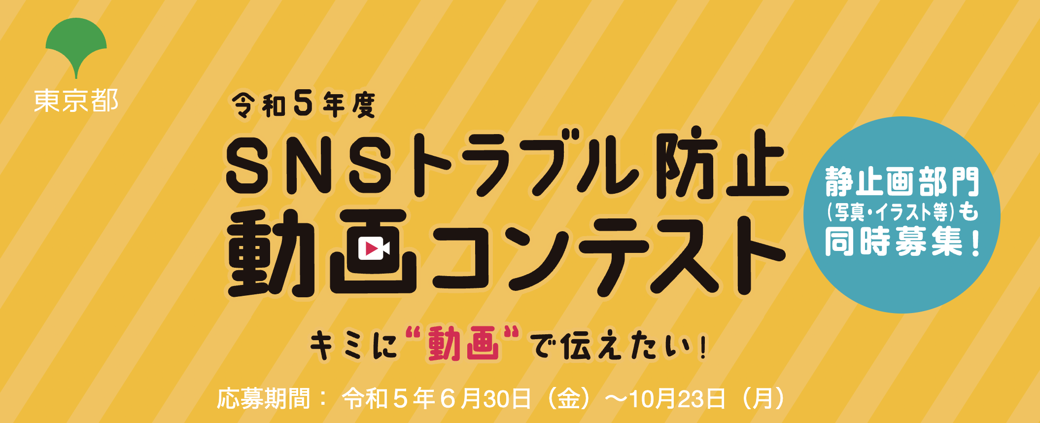 ゆきりぬ】アパレルブランド「dazzlin」とのコラボアイテムが販売決定！ | UUUM(ウーム)